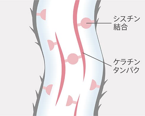 骨格が崩れた髪
