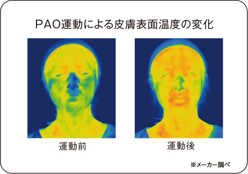 PAO運動による皮膚表面温度の変化の画像