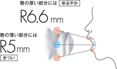 マルチフィット