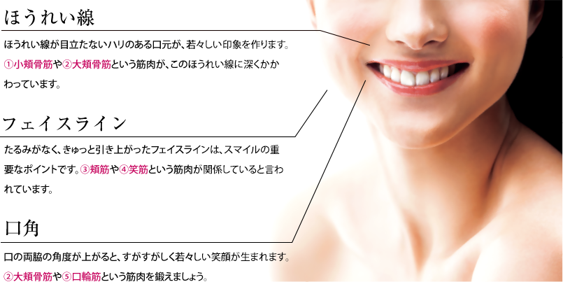 ほうれい線　ほうれい線が目立たないハリのある口元が、
								若々しい印象を作ります。①小頬骨筋や②大頬骨筋という筋肉が、このほうれい線に深くかかわっています。フェイスライン　たるみがなく、きゅっと引き上がったフェイスラインは、スマイルの重要なポイントです。③頬筋や④笑筋という筋肉が関係していると言われています。 口角　口の両脇の角度が上がると、すがすがしく若々しい笑顔が生まれます。②大頬骨筋や⑤口輪筋という筋肉を鍛えましょう。