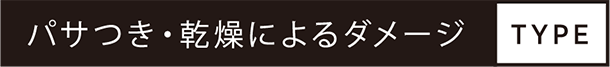 パサつき・乾燥によるダメージ