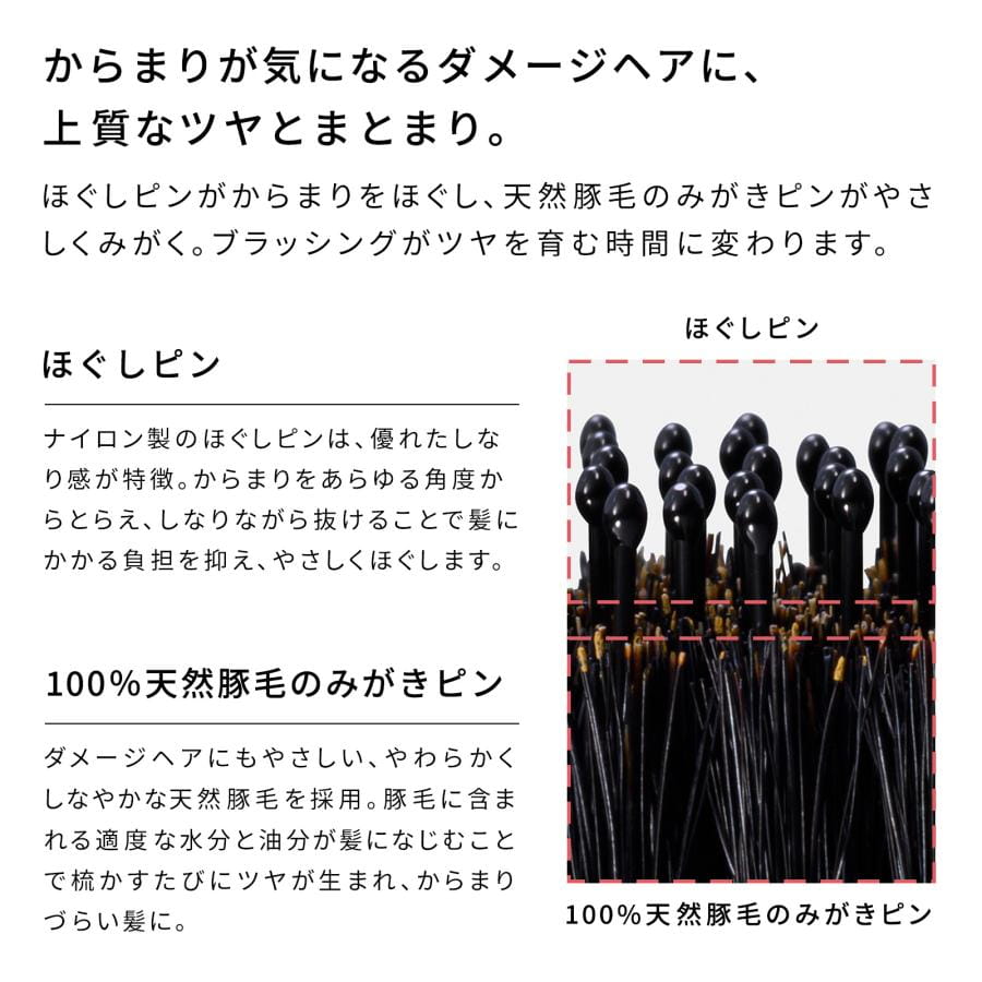 リファエールブラシレイ＆ショッパーセット