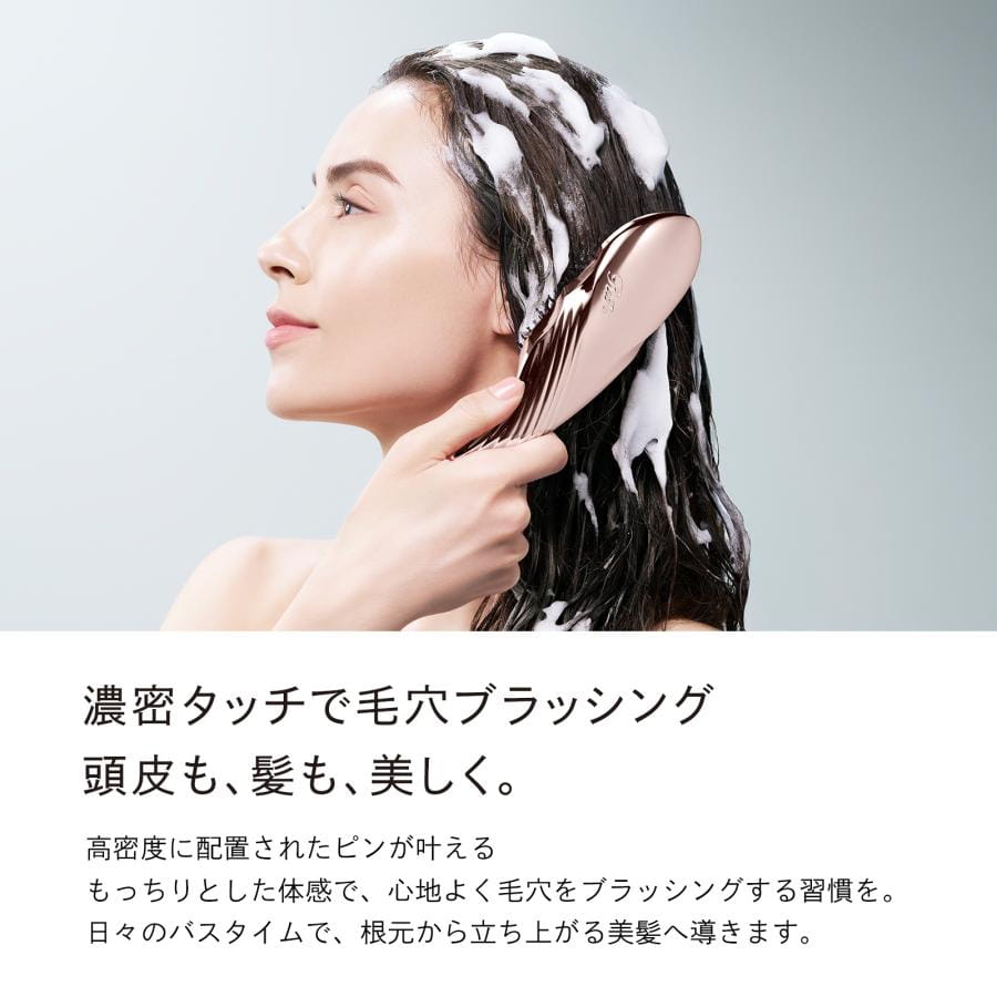 リファイオンケアブラシプレミアム＆ショッパーセット