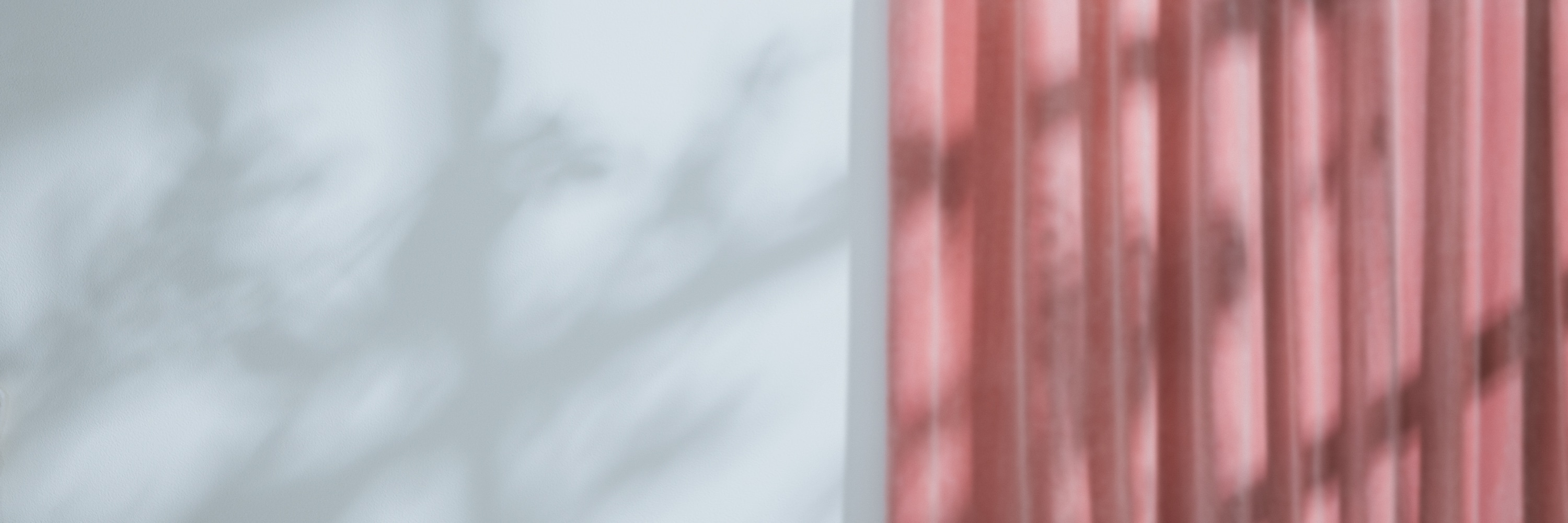 ReFa White Day Gifts