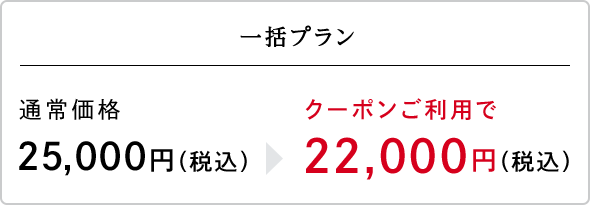一括プラン（クーポン対象）