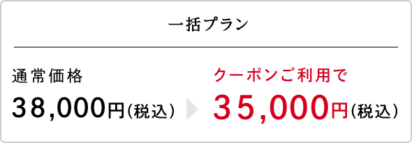 一括プラン（クーポン対象）