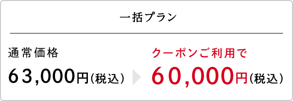 一括プラン（クーポン対象）