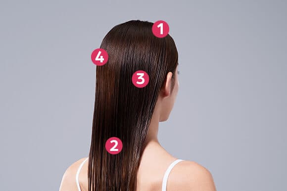 頭皮ドライは4ブロックに分けて行います