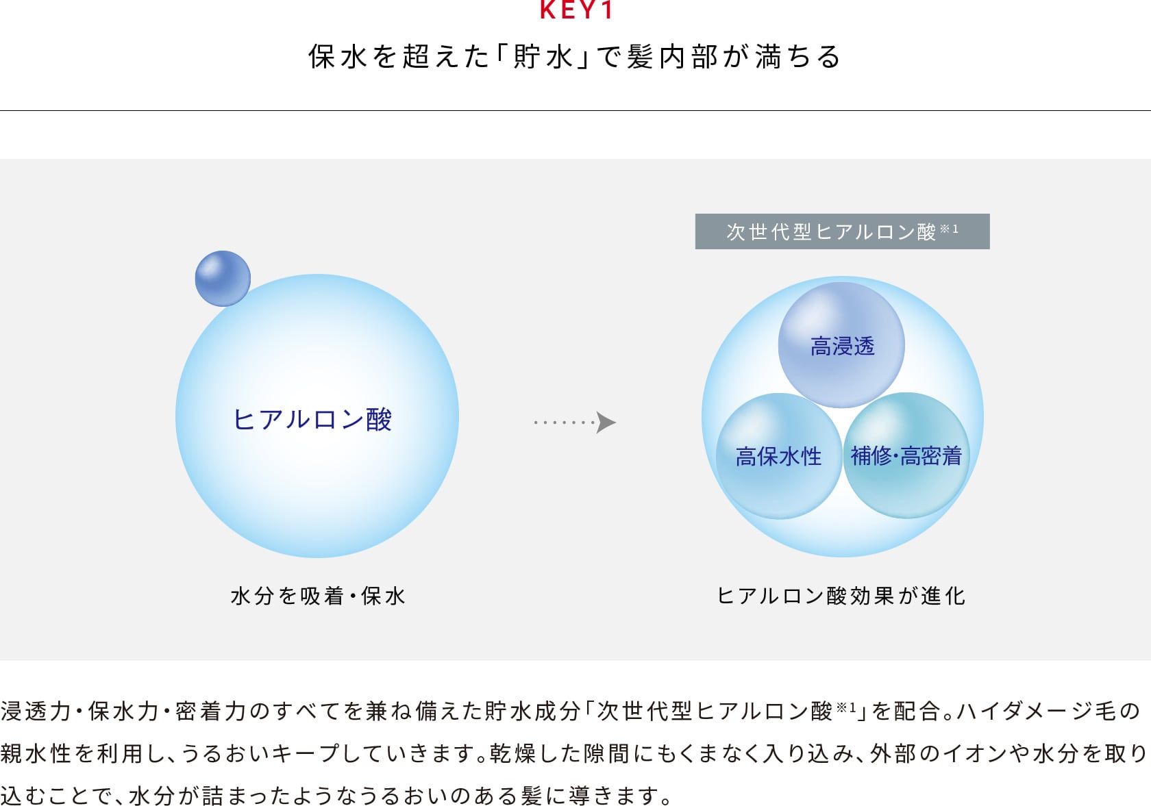 保水を超えた「貯水」で髪内部が満ちる