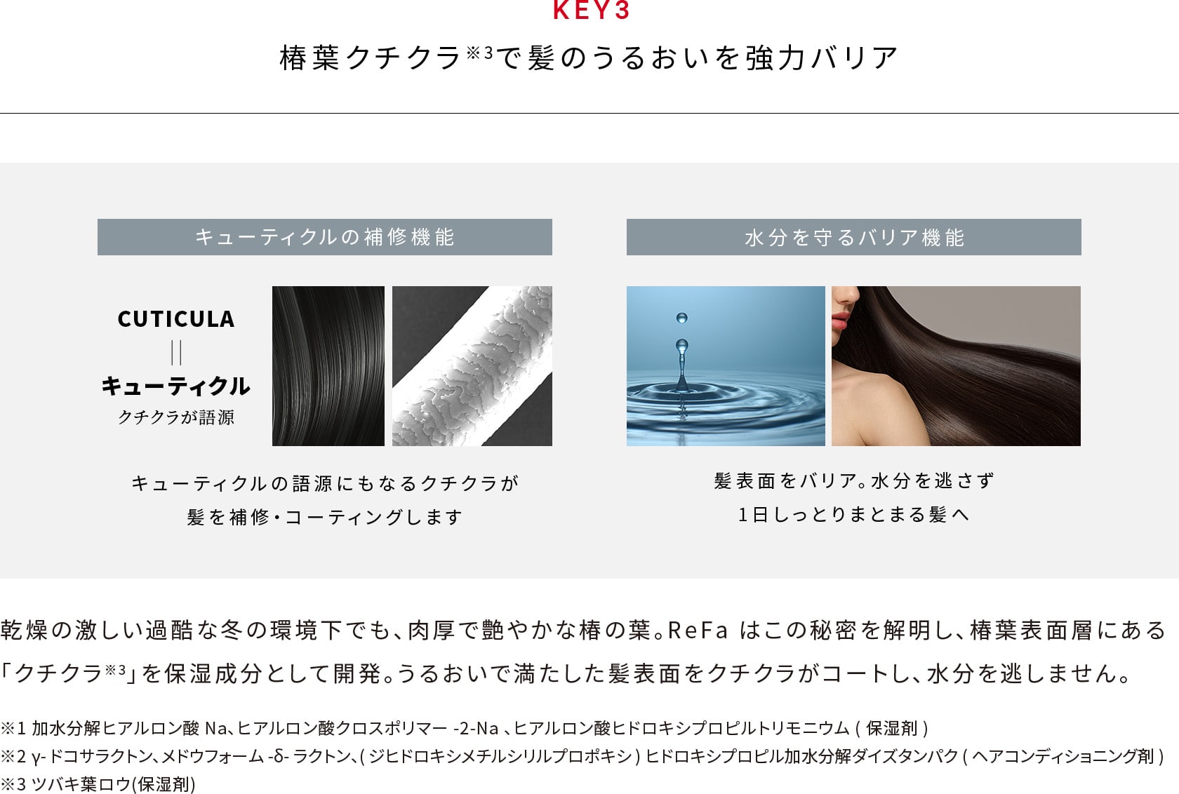 椿葉クチクラで髪のうるおいを強力バリア