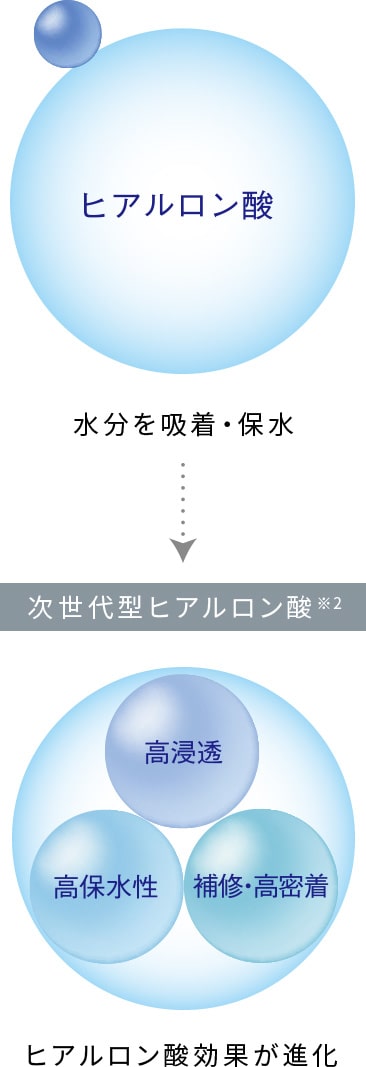 水分を吸着・保水してヒアルロン酸効果が進化