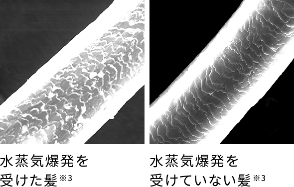 水分を飛ばしすぎないからカールの立体感、つづく