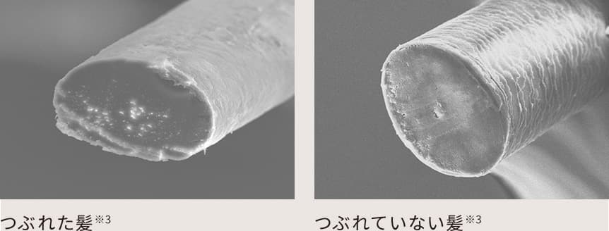 つぶれた髪とつぶれていない髪