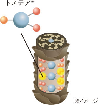 トステアがコアから補修し、しなやかな髪へ