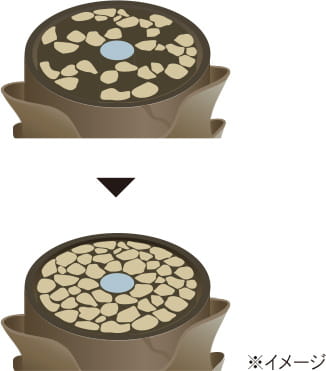 髪の空洞をみっちり埋めるコアリペアコンプレックス