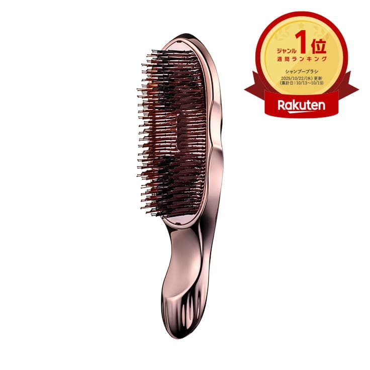 リファイオンケアブラシプレミアム