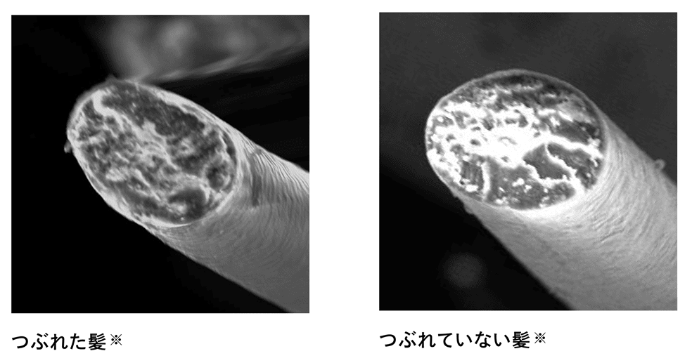 低反発コートがやさしく包み込むイメージ