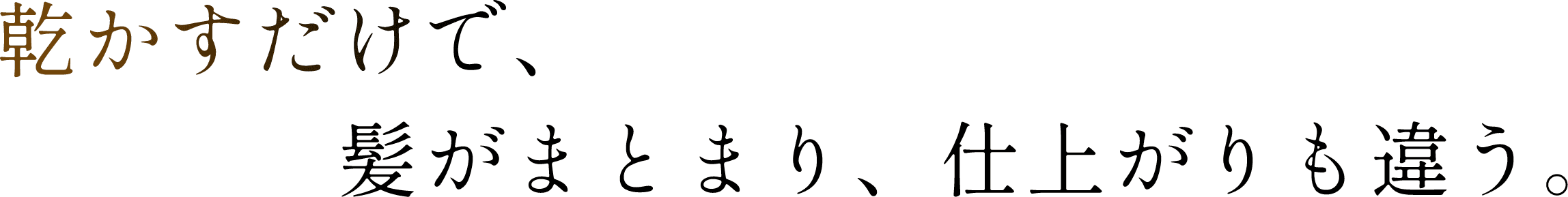 乾かすだけで、髪がまとまり、仕上がりも違う。