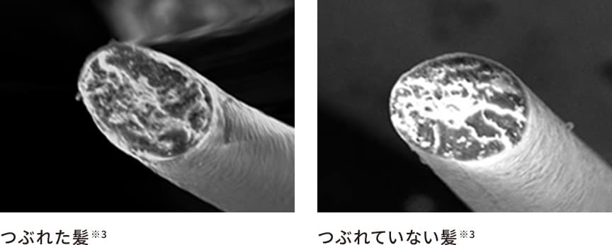 つぶれた髪と、つぶれていない髪