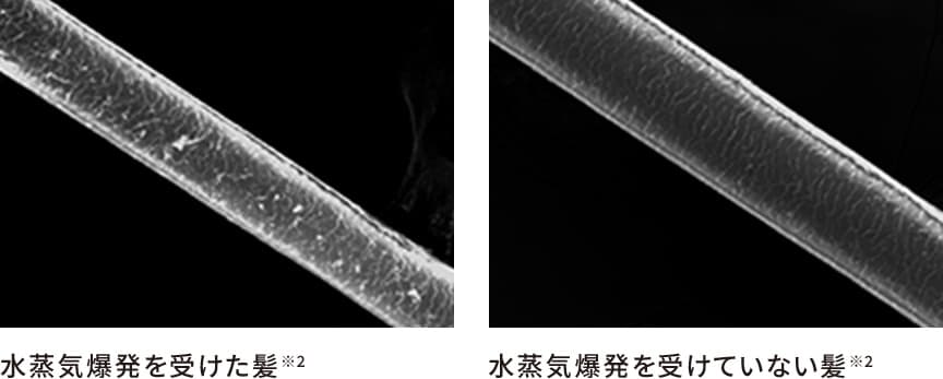 水蒸気爆発を受けた髪と、水蒸気爆発を受ていない髪
