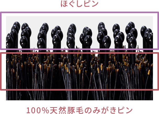 ほぐしピンと100%天然豚毛のみがきピン、2種類のピンで、ダメージヘアにツヤとまとまりを。