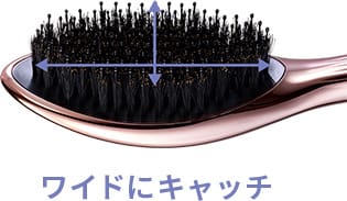 ワイドにキャッチ