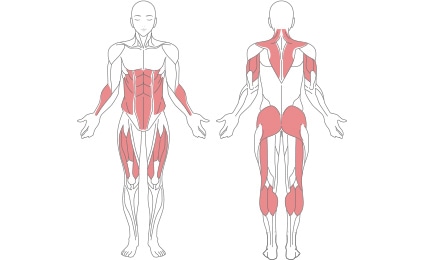 bodyモード