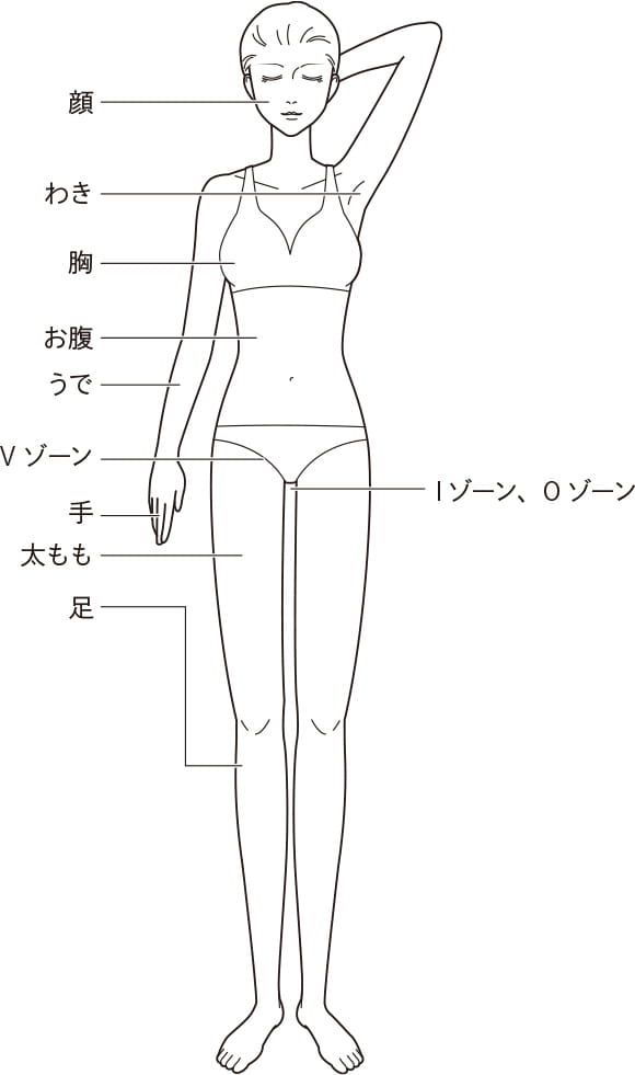 使用可能部位イラスト