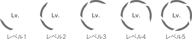 〈 5つの照射レベル 〉