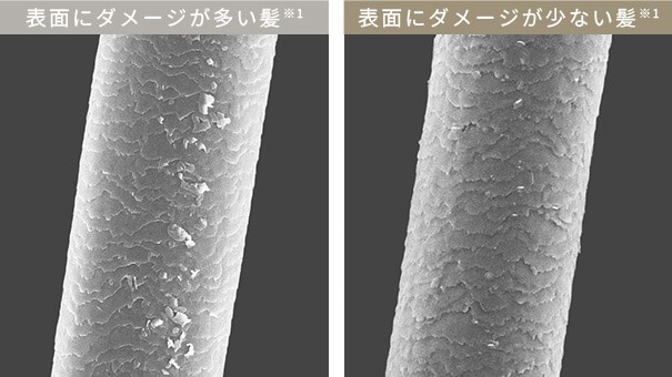 髪表面のダメージ比較図
