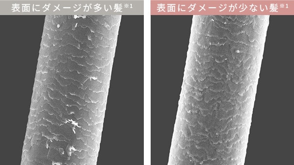 髪表面のダメージ比較図