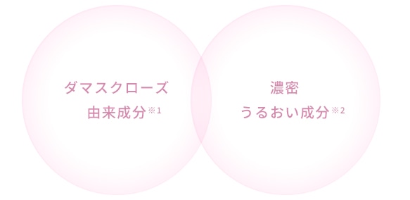 美しく、しなやかに。