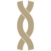 甘撚り（あまより）製法