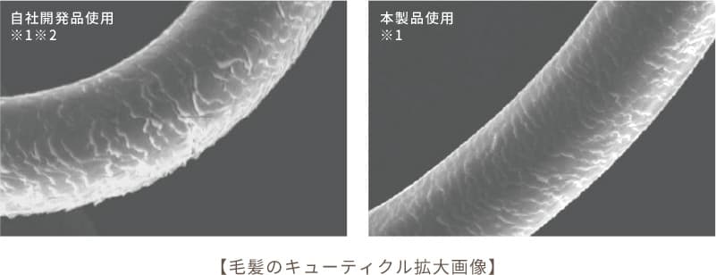 毛髪のキューティクル拡大画像