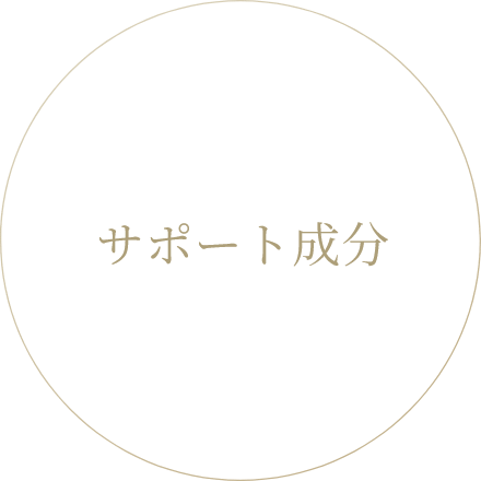 サポート成分