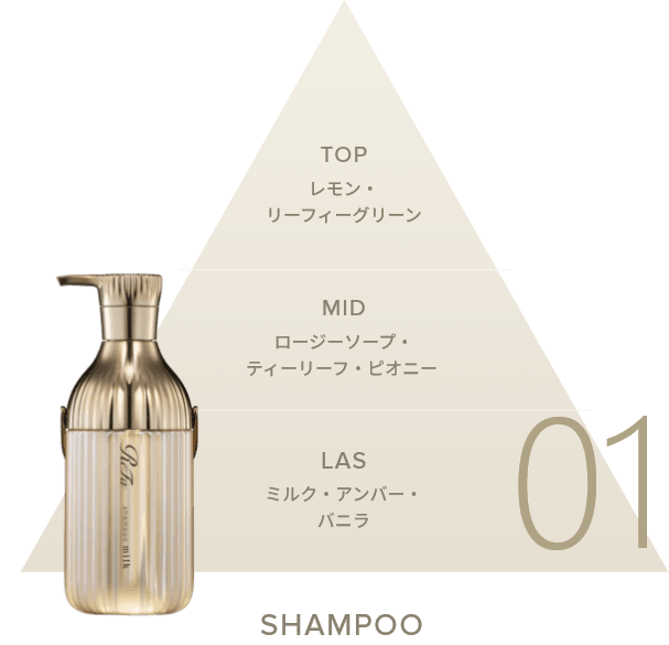 SHAMPOO
