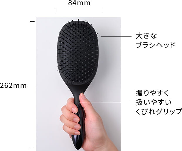 サイズ