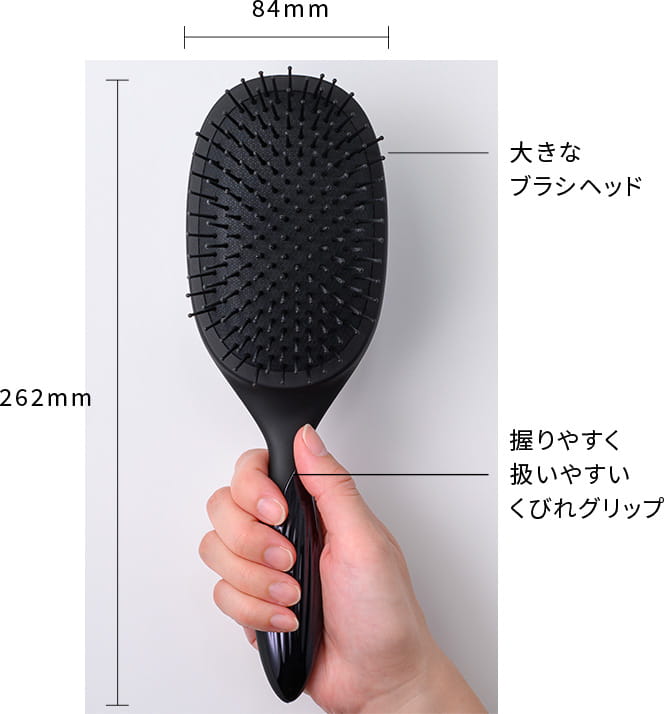 サイズ