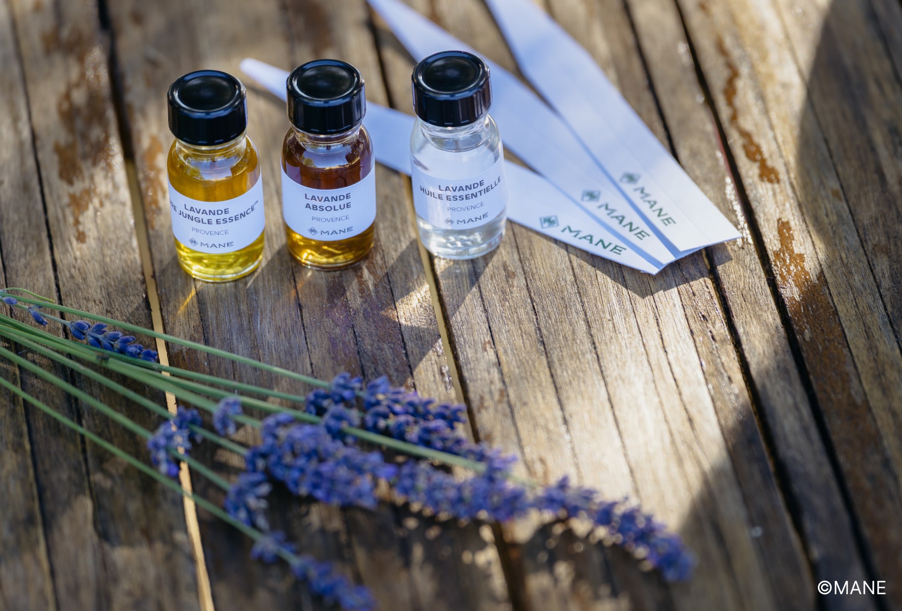 テクスチャライズドスキンアコード