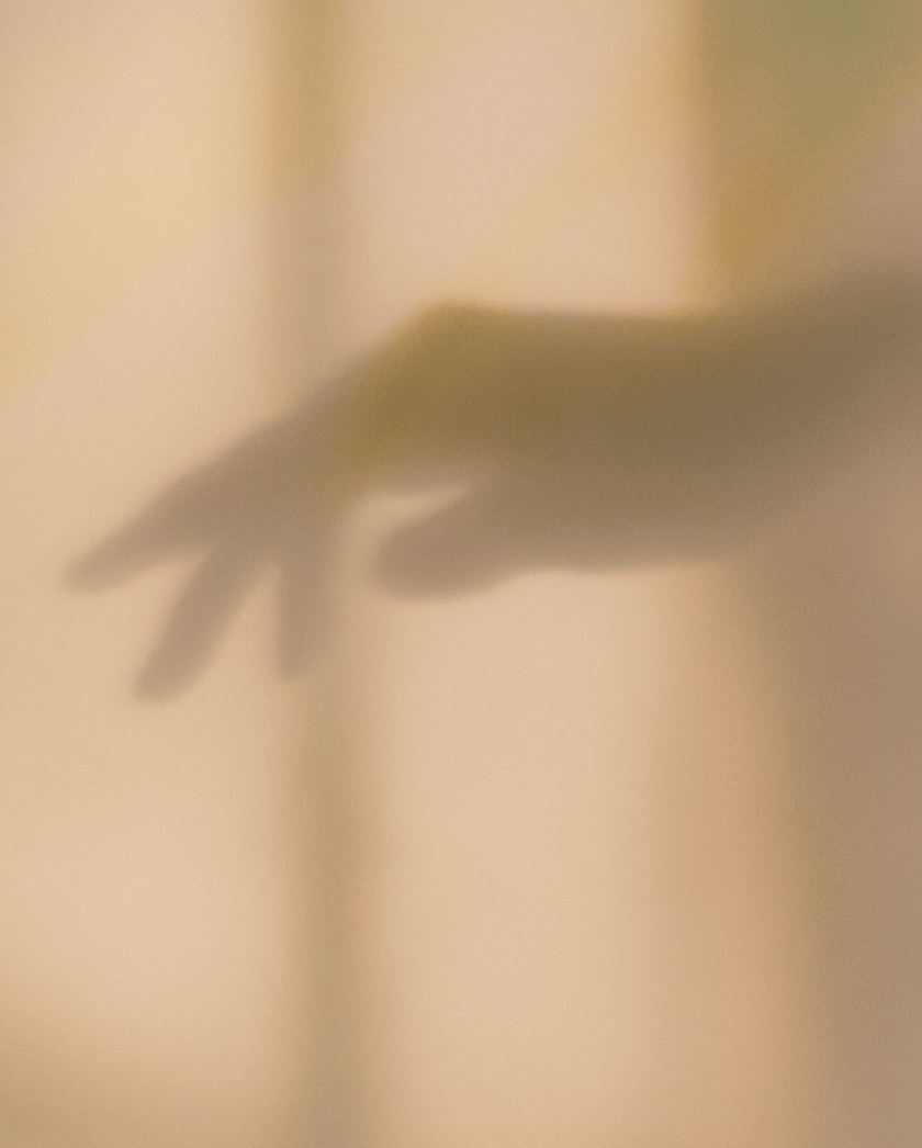 テクスチャライズドスキンアコード