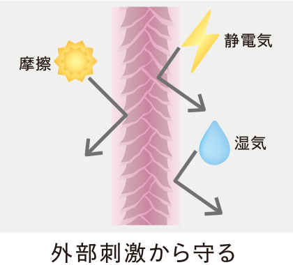 外部刺激から守る