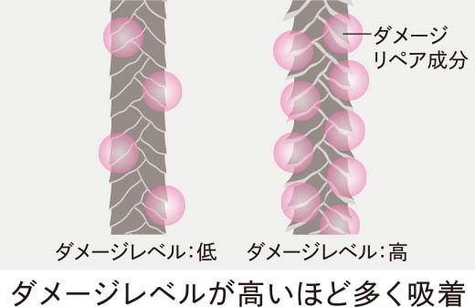 ダメージレベルが高いほど多く吸着