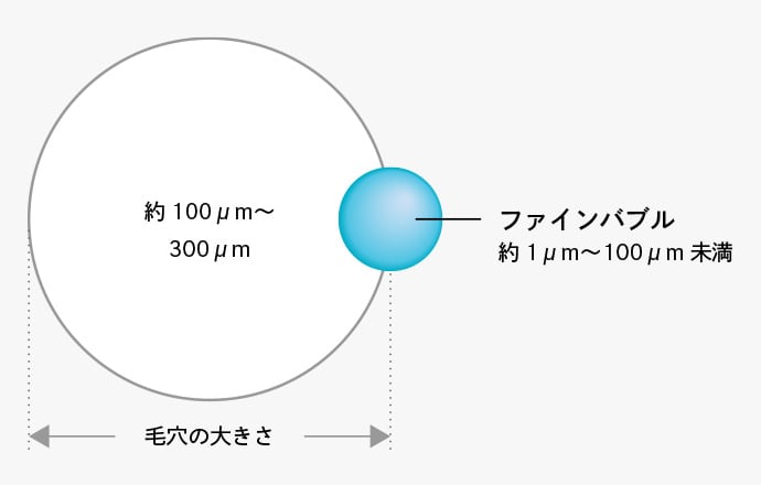 毛穴の大きさより小さいファインバブル