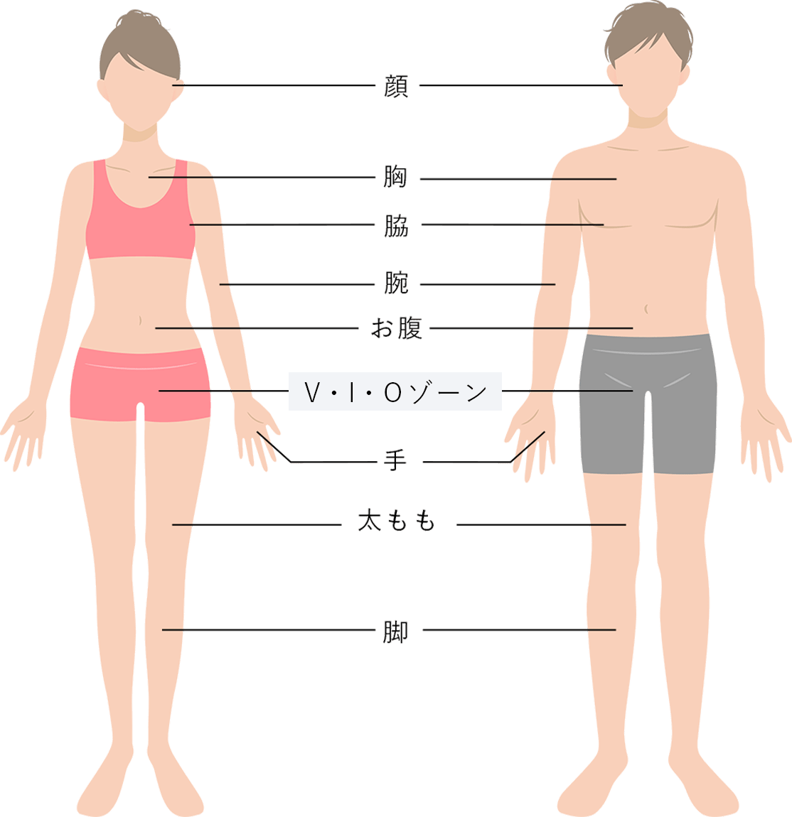 ケア可能な部位