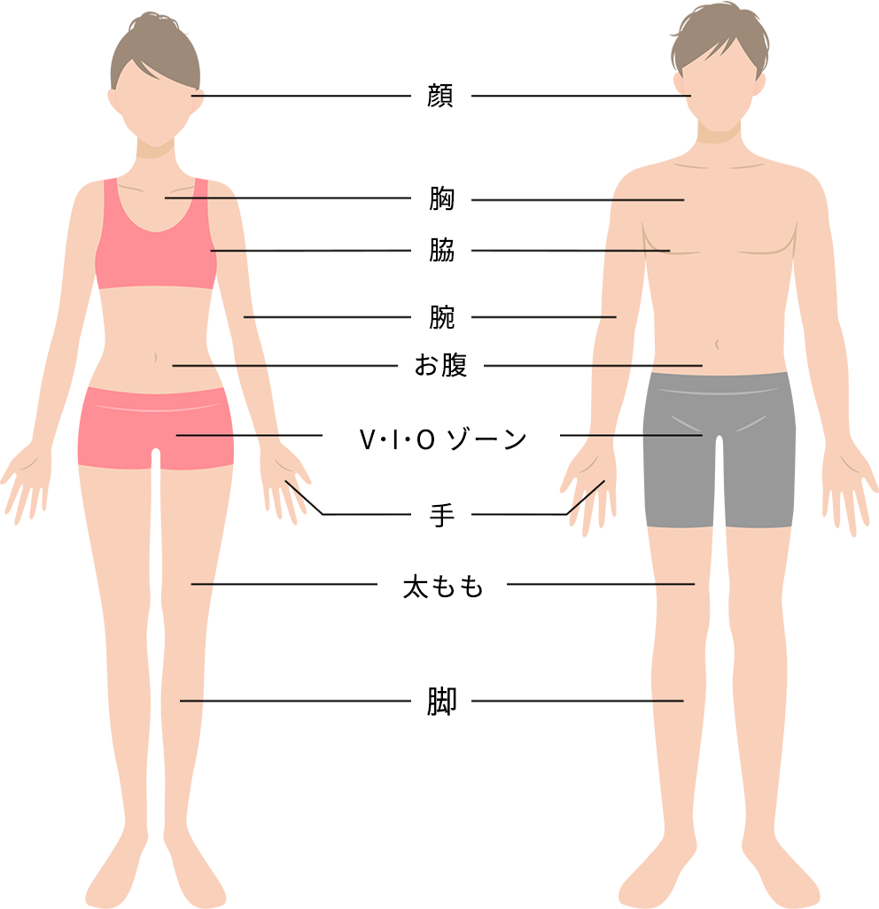 ケア可能な部位の確認