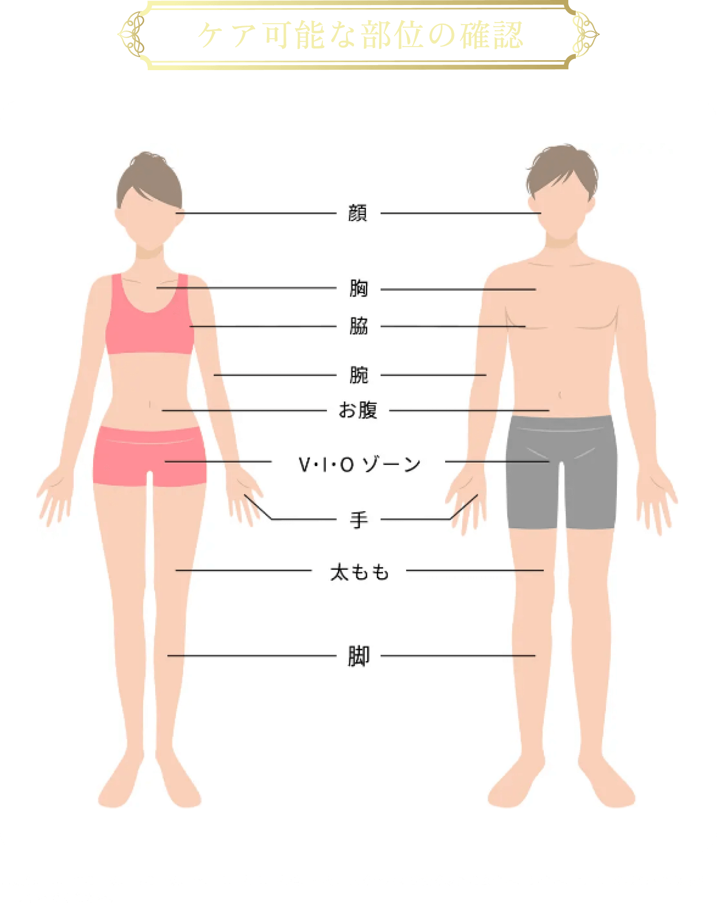 ケア可能な部位の確認　顔・胸・脇・腕・お腹・VIOゾーン・手・太もも・足　※頭部、耳、眉の周辺、目の周辺、唇、首、乳首、乳輪、へそ、大陰唇および会陰以外の女性器、男性器、肛門、粘膜部位には使用しないでください。