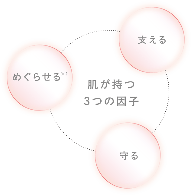 リファビューテック レイズ(ブラック) リファビューテック レイズ(ブラック)
