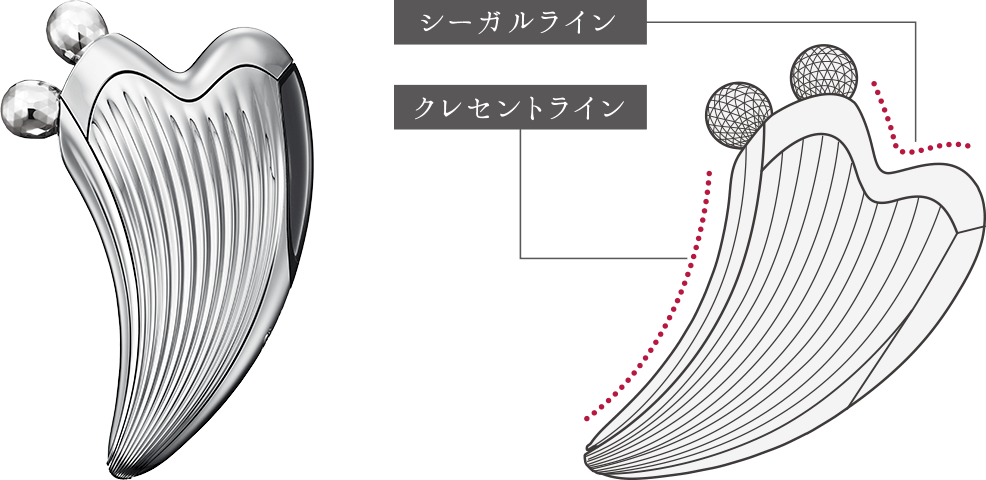 シーガルライン クレセントライン