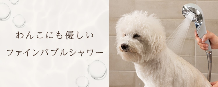 獣医師推奨のファインバブルでわんこも喜ぶシャワータイム