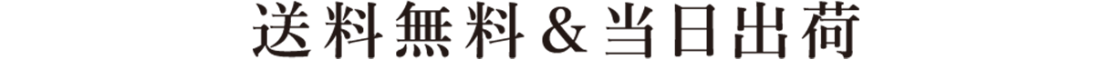 送料無料＆当日出荷